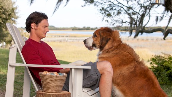 Photo from the movie The Choice