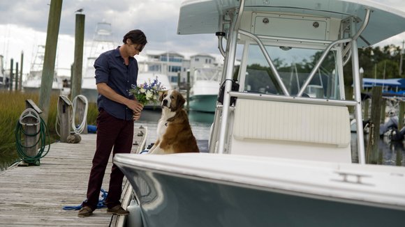 Photo from the movie The Choice