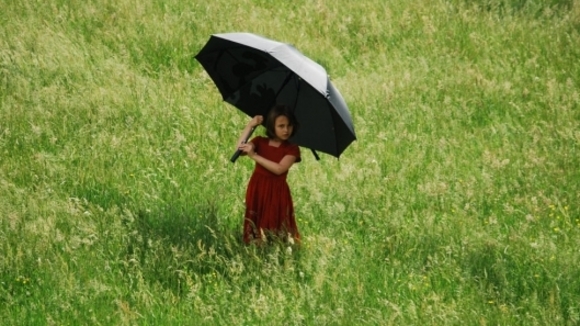 Photo from the movie The Field of Enchantment