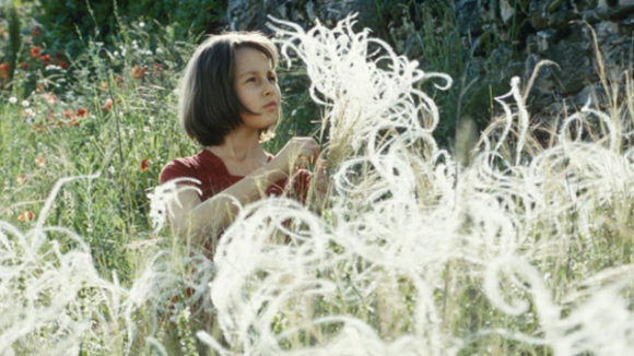 Photo from the movie The Field of Enchantment