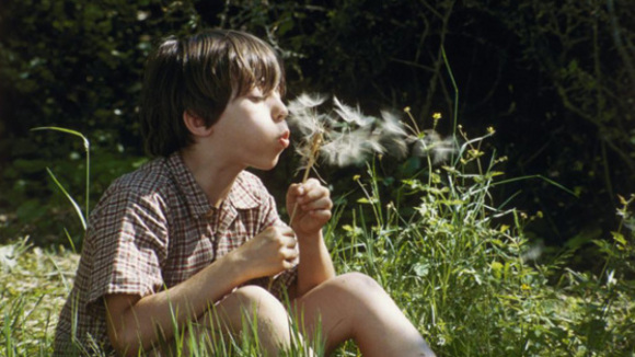 Photo from the movie The Field of Enchantment