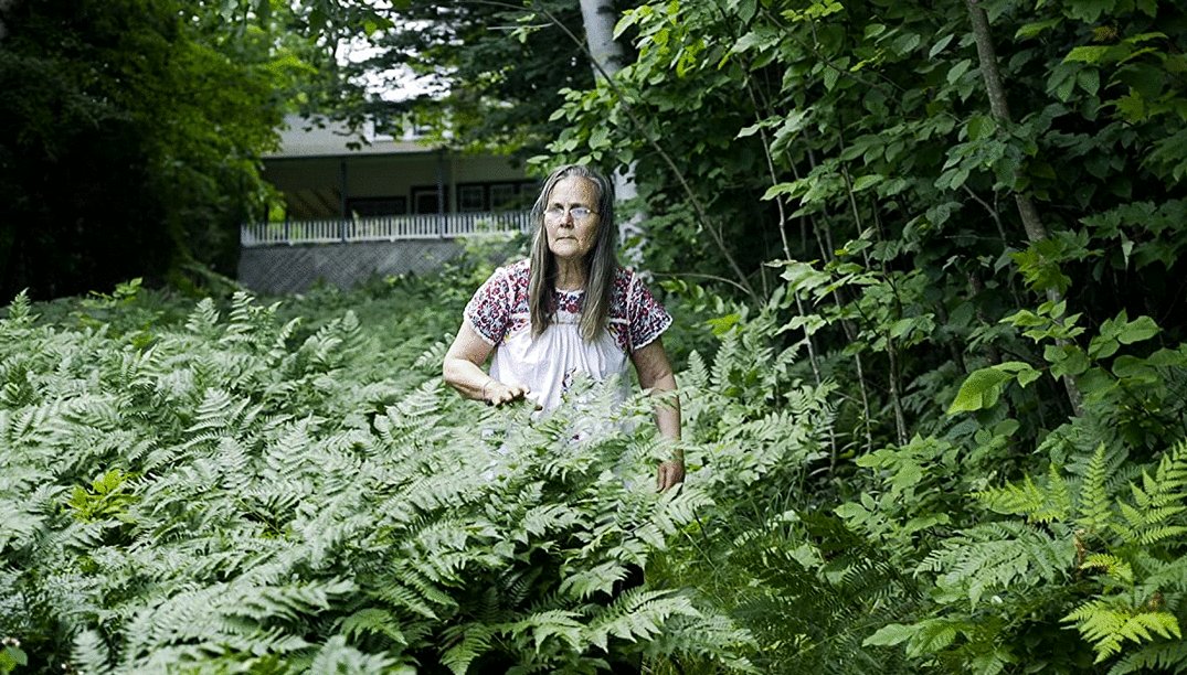 Photo from the movie Chère Audrey