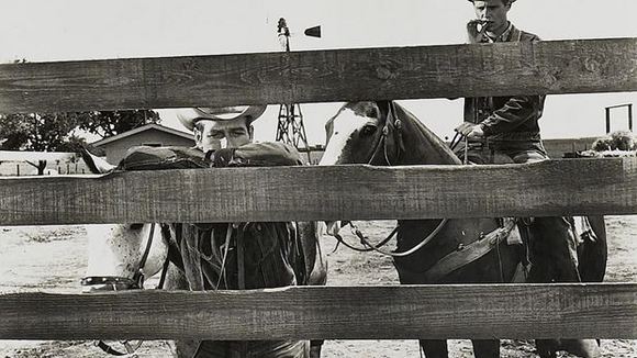 Photo from the movie Hud