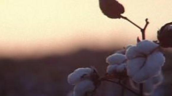 Photo from the movie Shotgun Stories