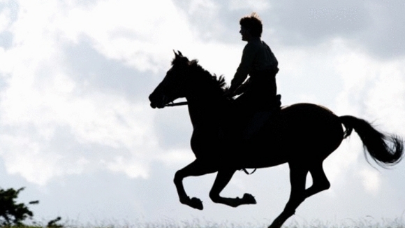 Photo from the movie War Horse