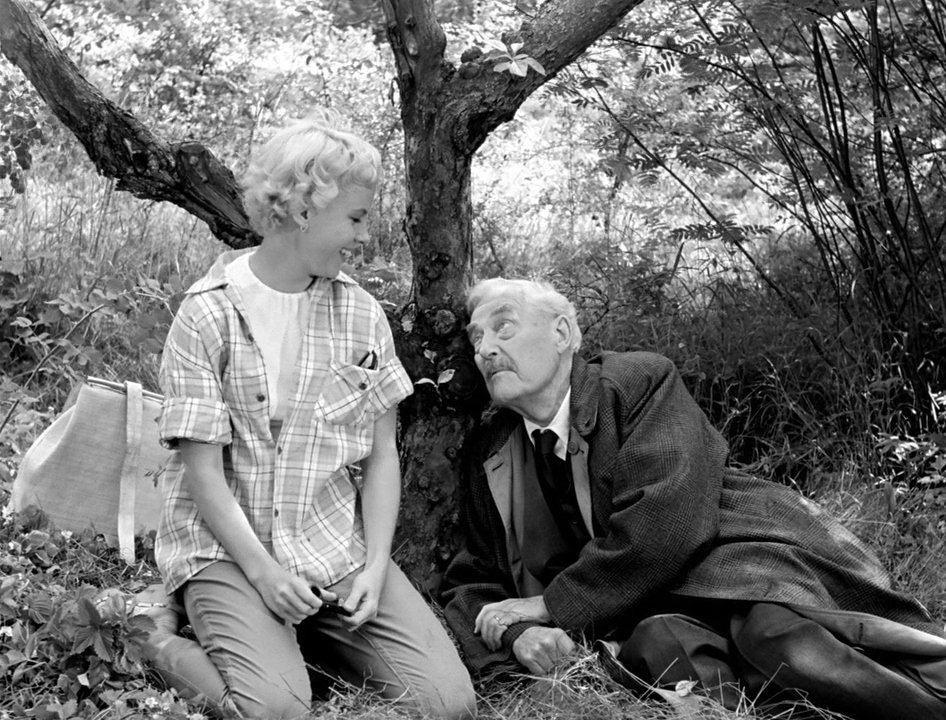Photo from the movie Wild Strawberries