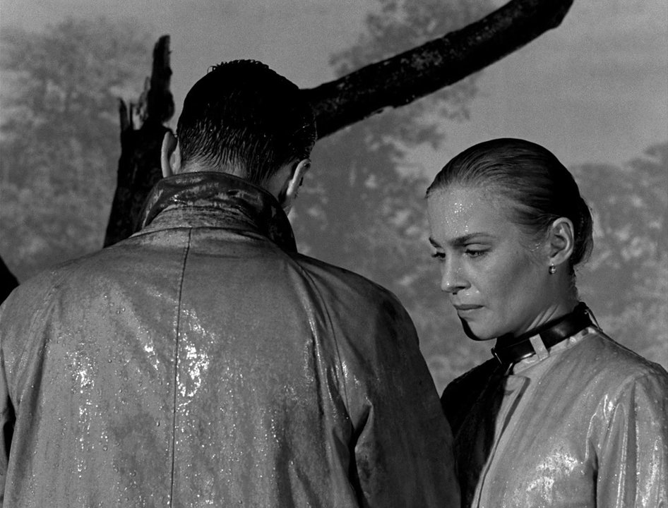 Photo from the movie Wild Strawberries