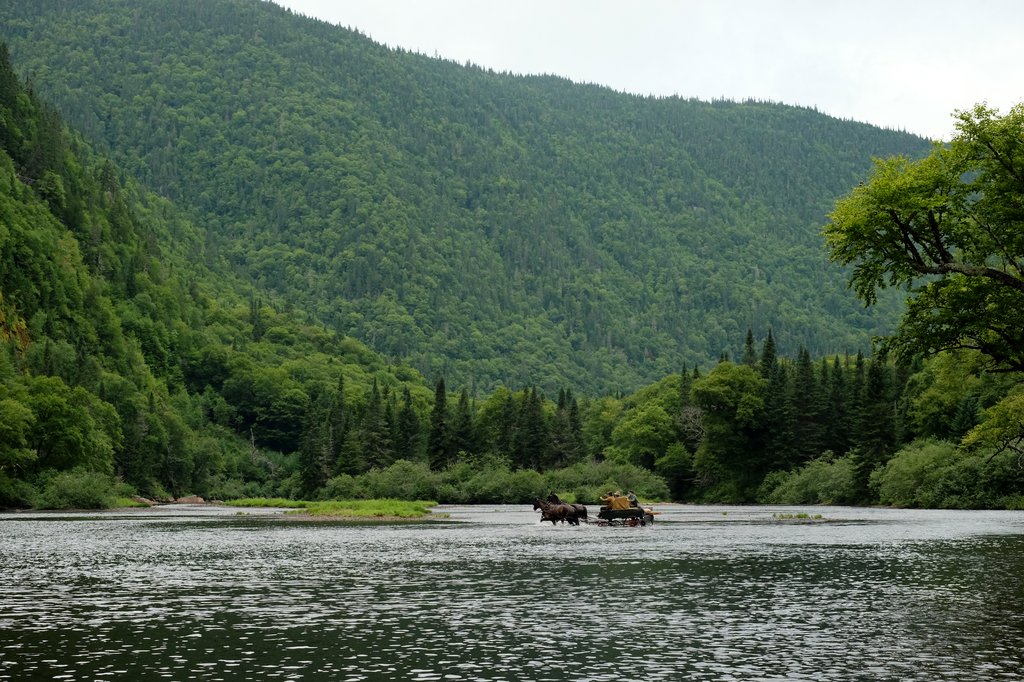 Photo from the movie Pieds nus dans l'aube