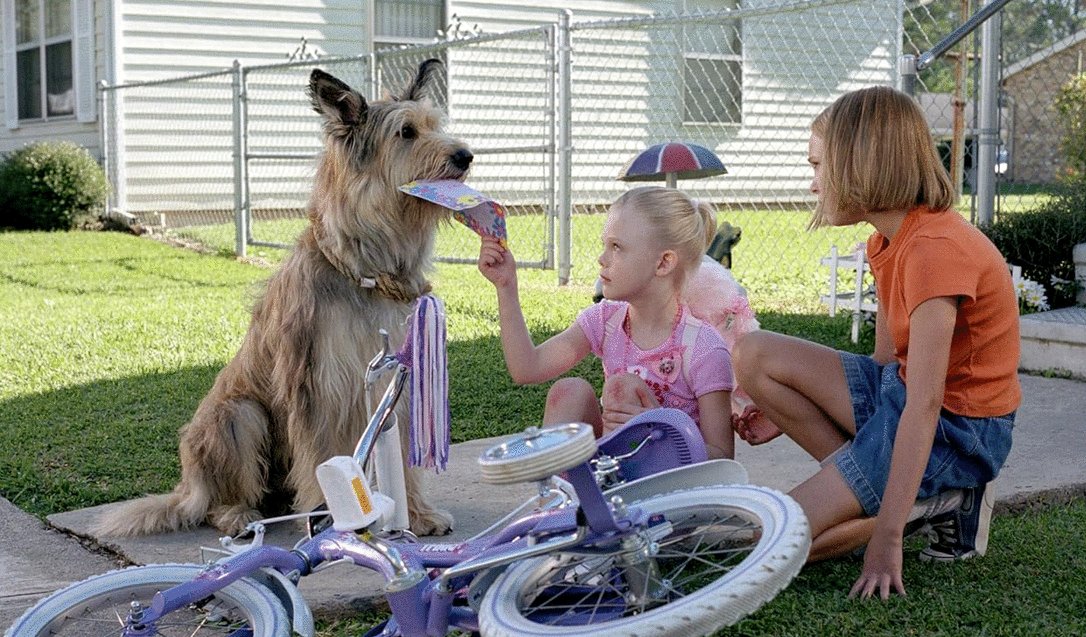 Photo from the movie Because of Winn-Dixie