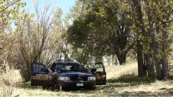 Photo from the movie Cop Car