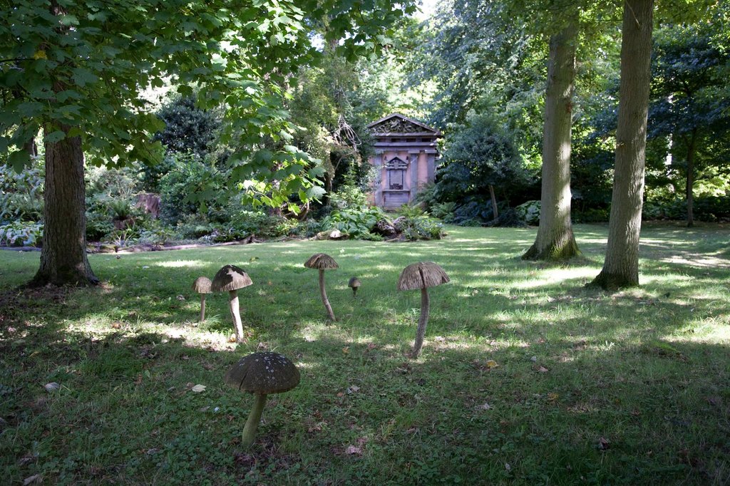 Photo from the movie Fantastic Fungi