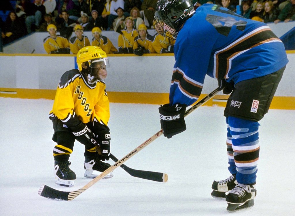 Photo from the movie MVP: Most Valuable Primate