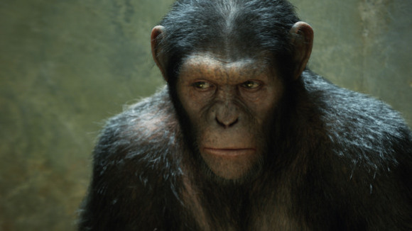 Photo from the movie Rise of the Planet of the Apes