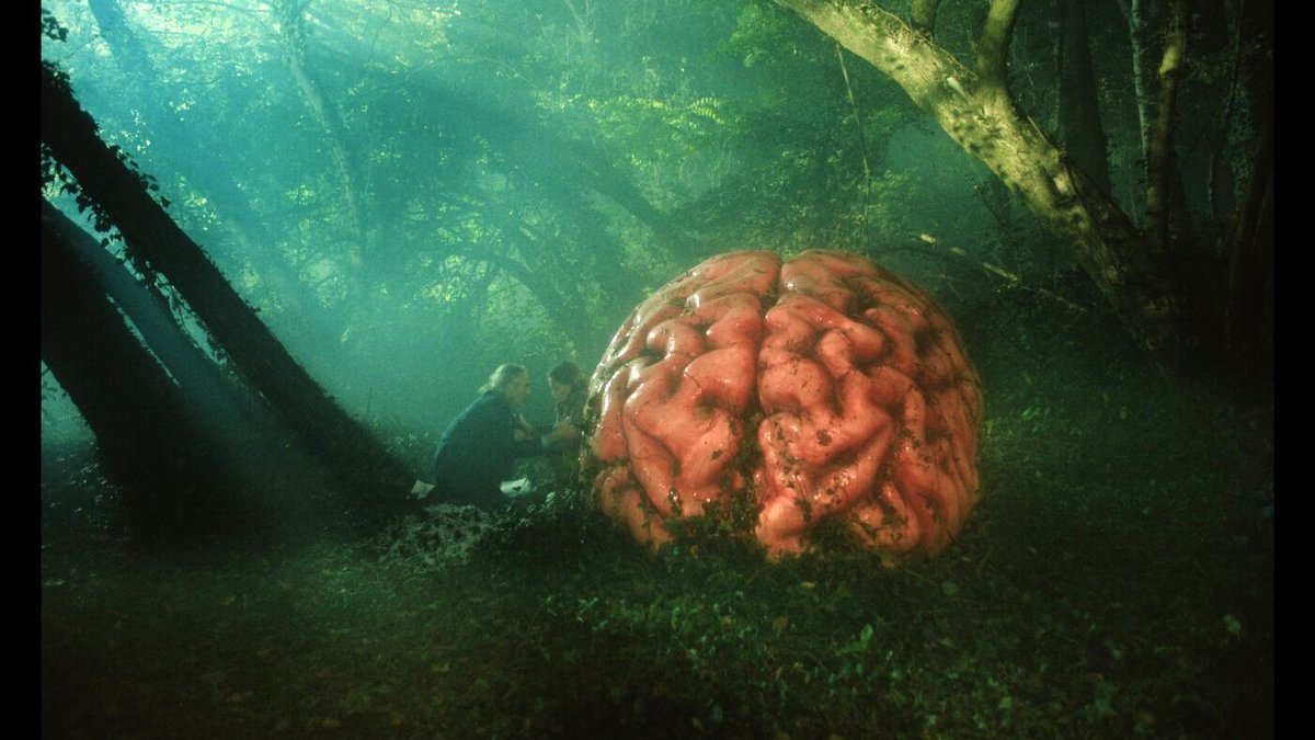 Photo from the movie Rumours