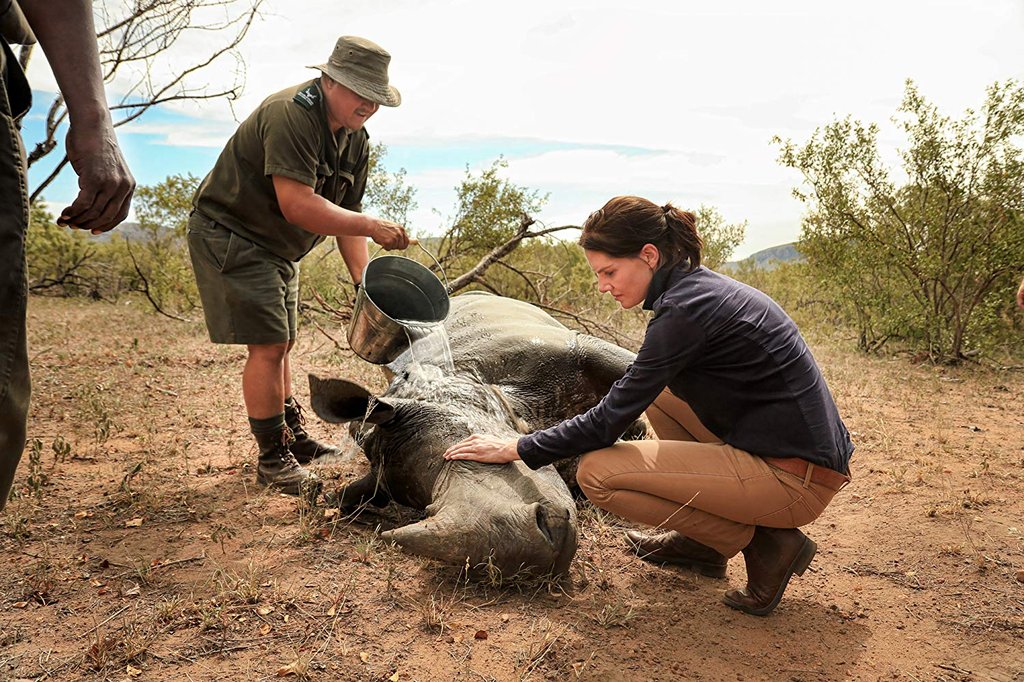 Photo from the movie Stroop: Journey into the Rhino Horn War