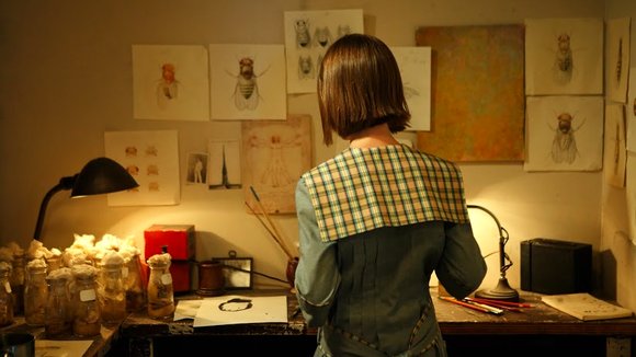 Photo from the movie The Fly Room