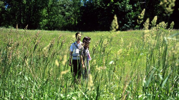 Photo from the movie The Fly Room