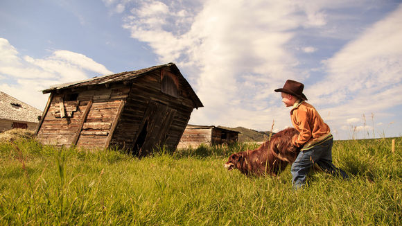 Photo from the movie The Young and Prodigious T.S. Spivet