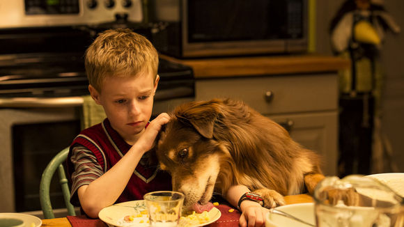Photo from the movie The Young and Prodigious T.S. Spivet