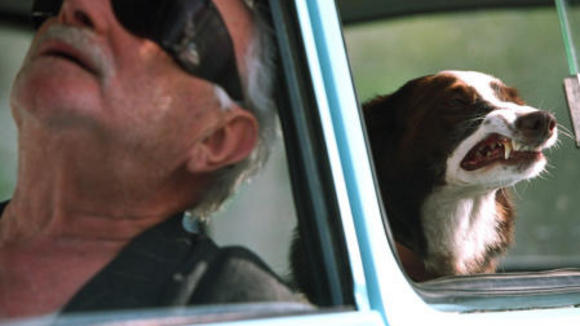 Photo from the movie Everything Is Illuminated