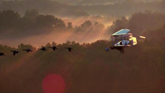Photo from the movie Fly Away Home