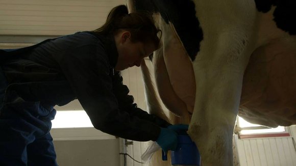 Photo from the movie Le Plancher des vaches