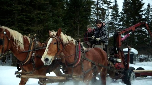 Photo from the movie Le Plancher des vaches