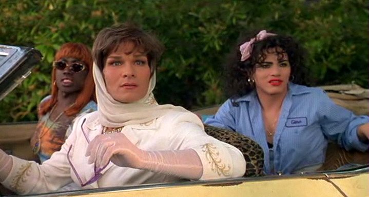 Photo from the movie To Wong Foo Thanks for Everything, Julie Newmar