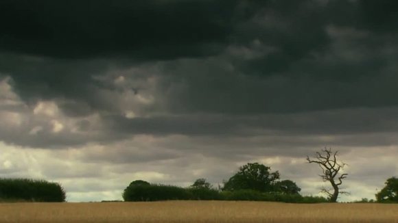 Photo from the movie Everyday