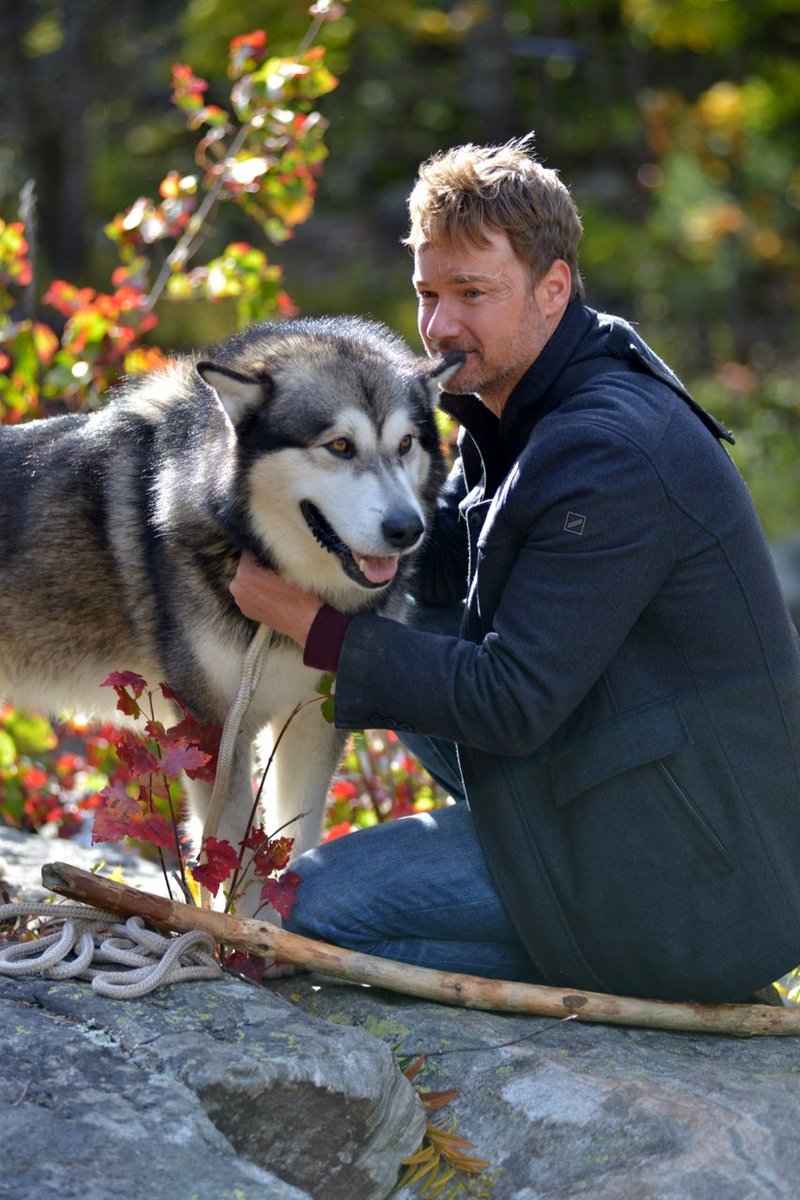 Photo du film Against the Wild III: The Journey Home [2021]