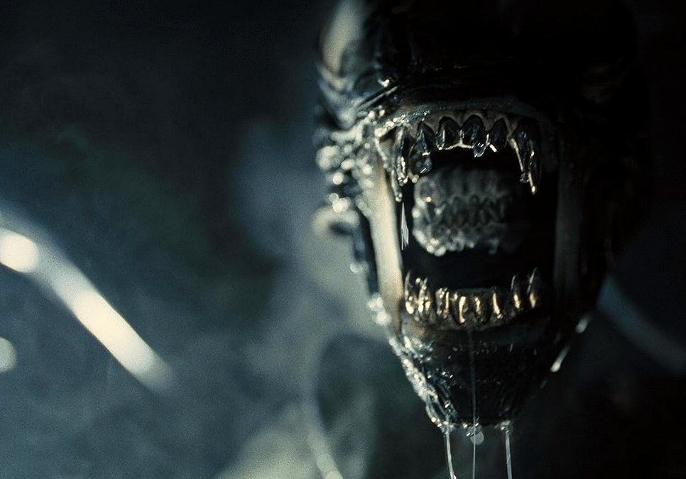 Photo from the movie Alien: Romulus