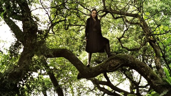 Photo from the movie The Assassin