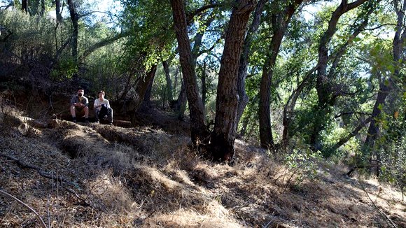 Photo from the movie A Better You