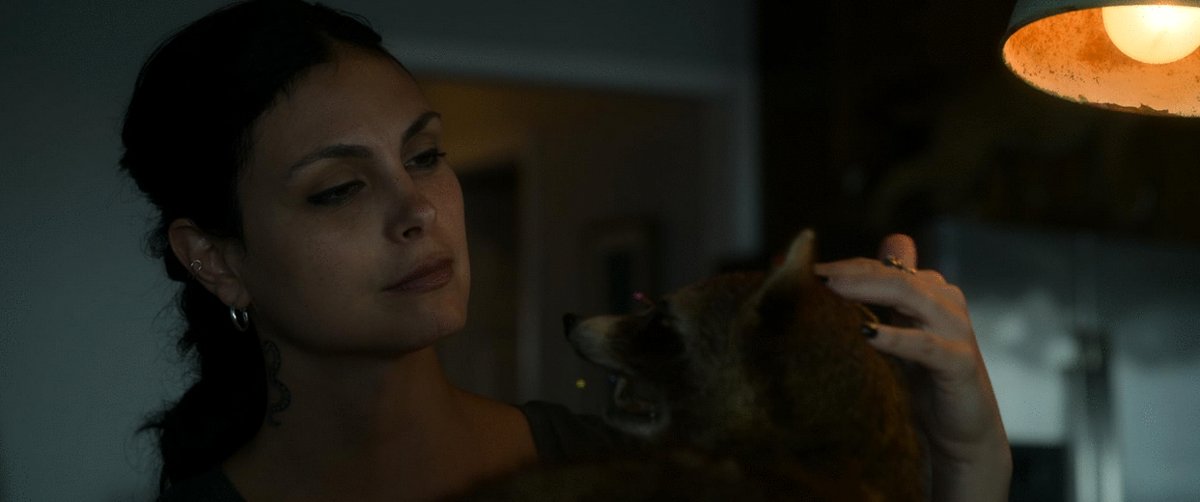 Photo from the movie Jeux d'assassins