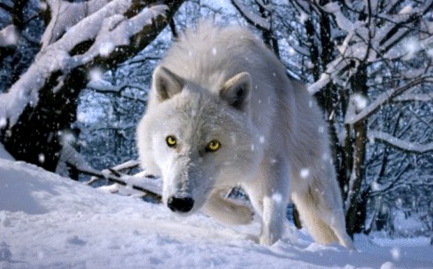 Photo from the movie Tiny Giants