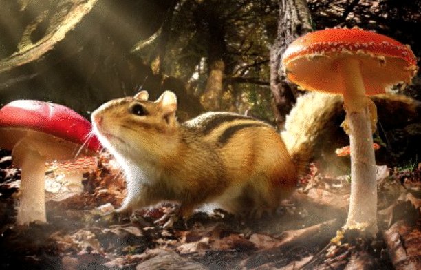 Photo from the movie Tiny Giants