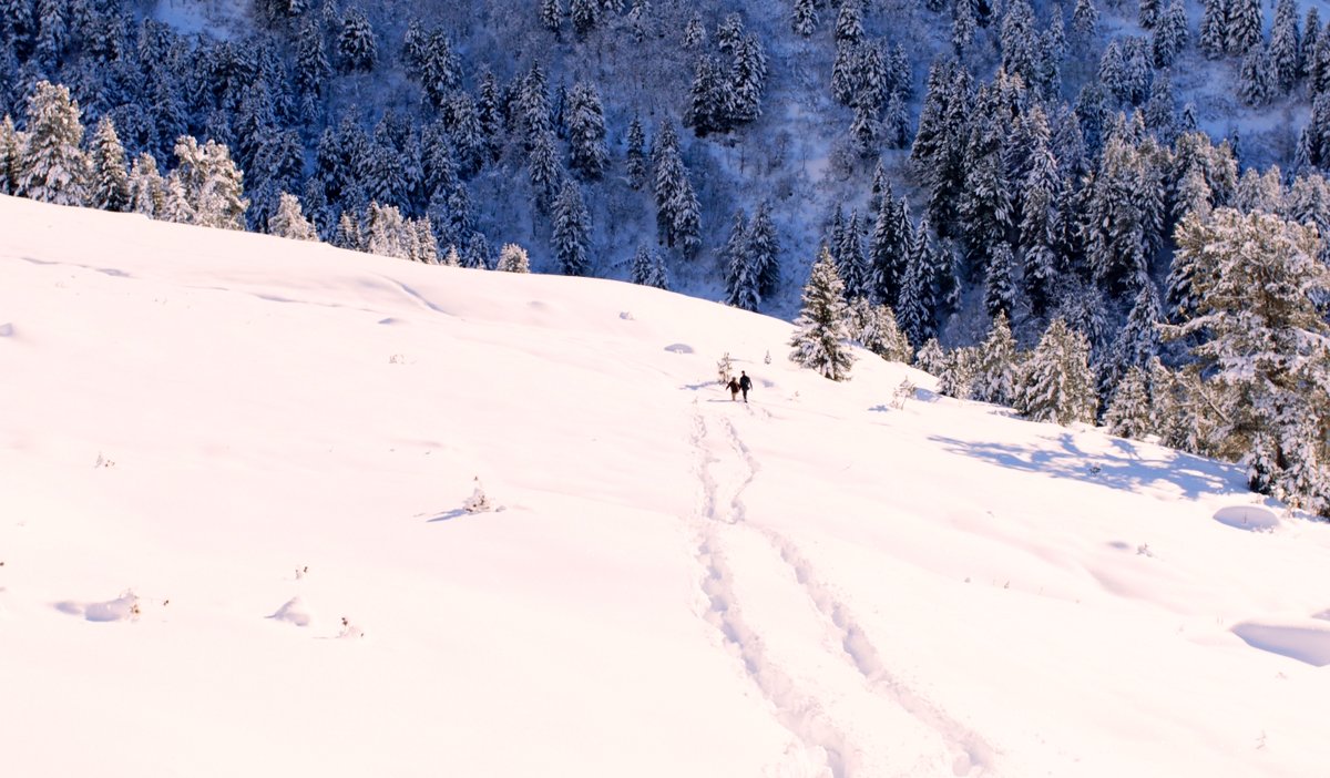 Photo from the movie Burning Ghost