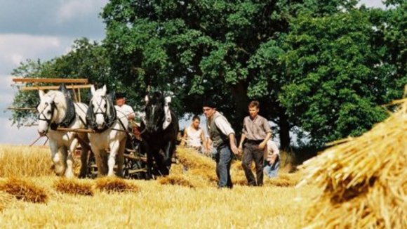 Photo from the movie A Year in My Life