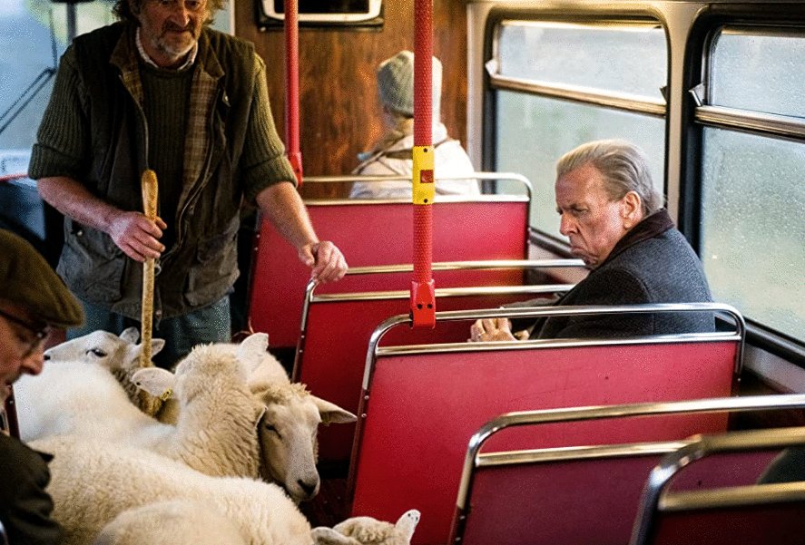 Photo from the movie The Last Bus