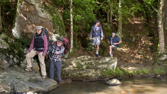 Photo from the movie A Walk in the Woods