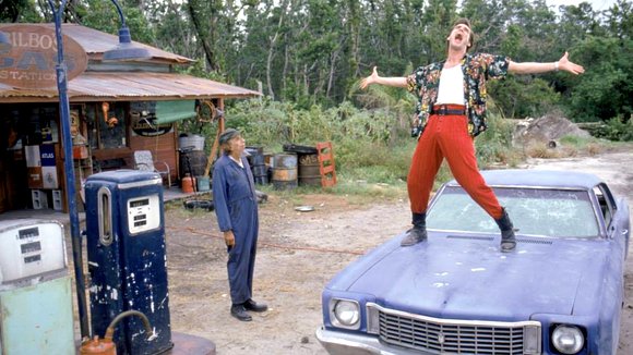 Photo from the movie Ace Ventura: Pet Detective