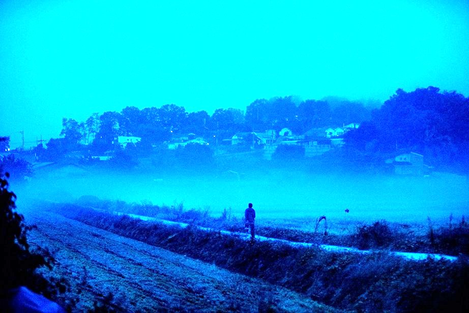 Photo from the movie Burning [2018]