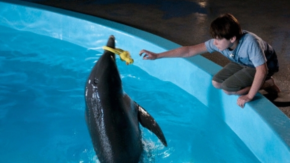 Photo from the movie Dolphin Tale