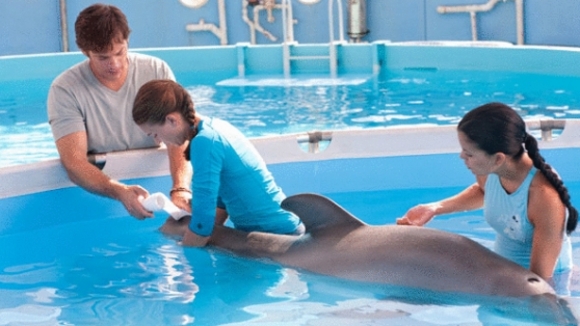 Photo from the movie Dolphin Tale