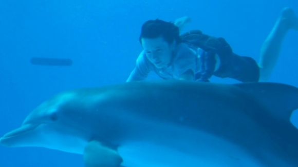 Photo from the movie Dolphin Tale