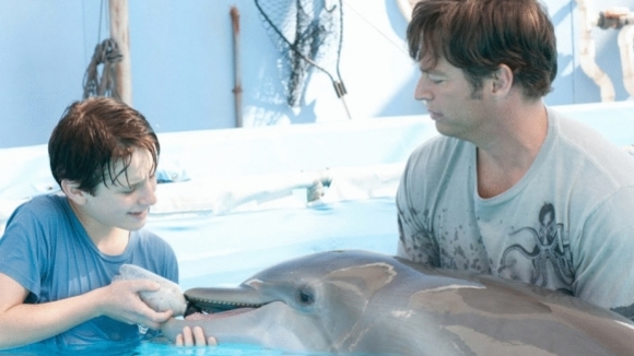 Photo from the movie Dolphin Tale