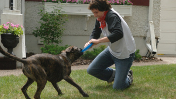 Photo from the movie Finn on the Fly