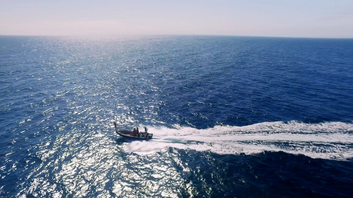 Photo from the movie The Loneliest Whale: The Search for 52