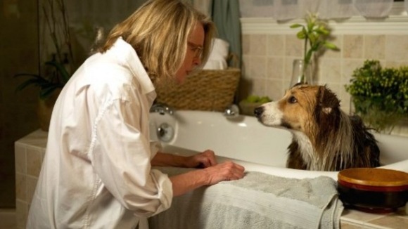 Photo from the movie Darling Companion