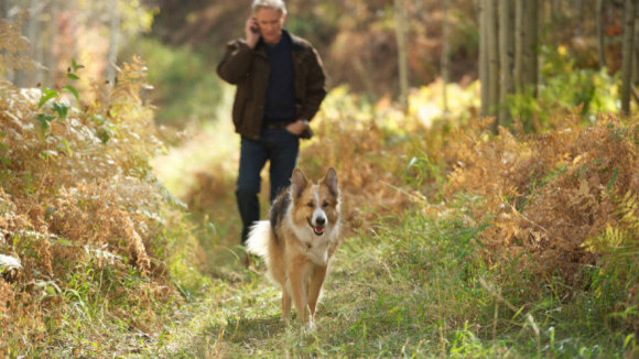 Photo from the movie Darling Companion